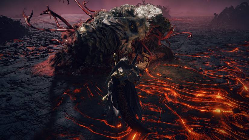 elden ring tanith eat rykard head