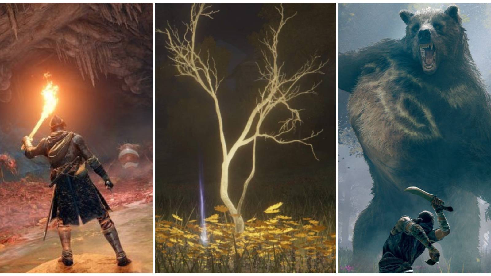 elden ring things you didn't know you could do