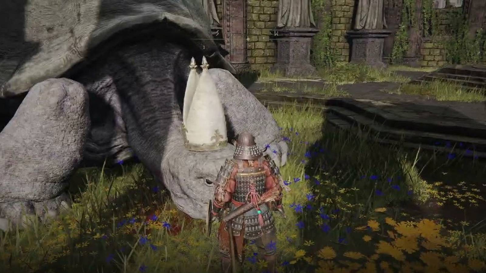 elden ring turtle pope feature