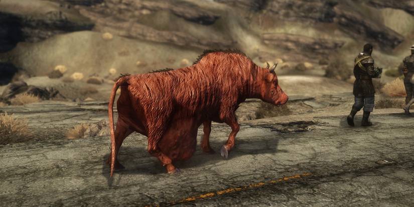 fallout-3-brahmin-road-tipping-featured-1