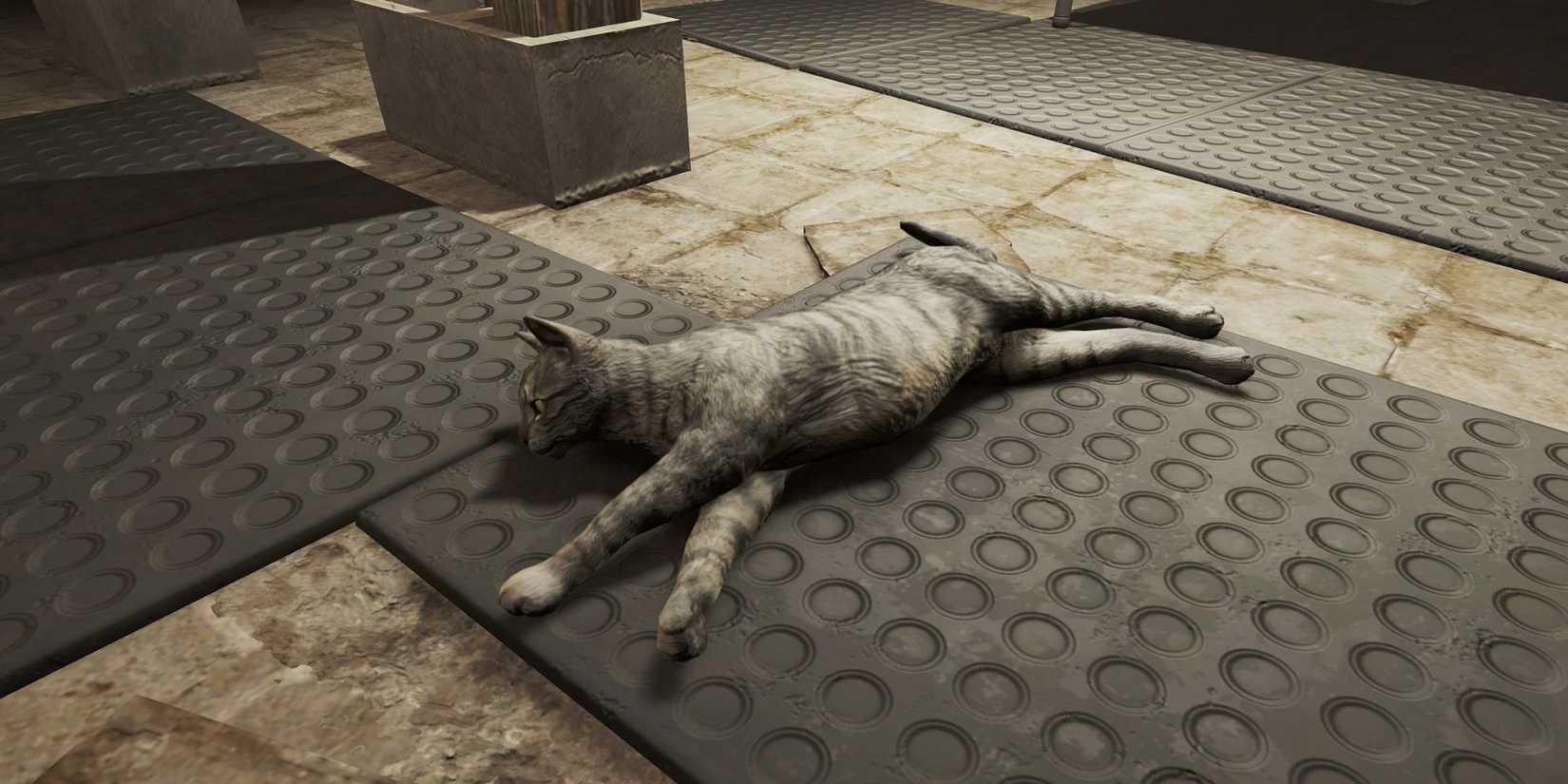 fallout-4-cat