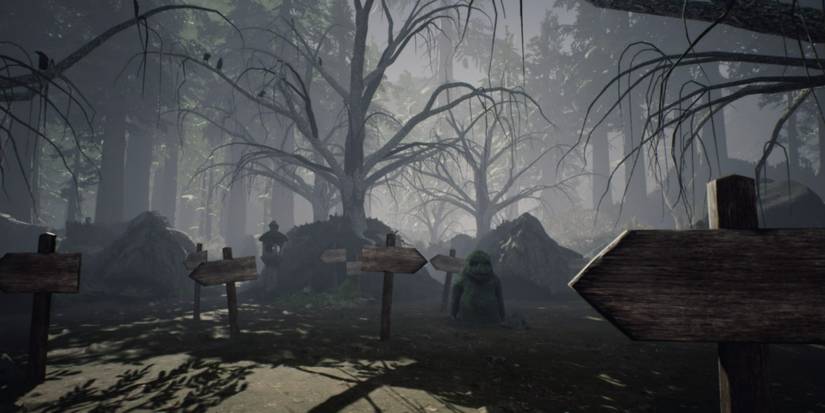 following a bunch of signs in a forest in Ikai