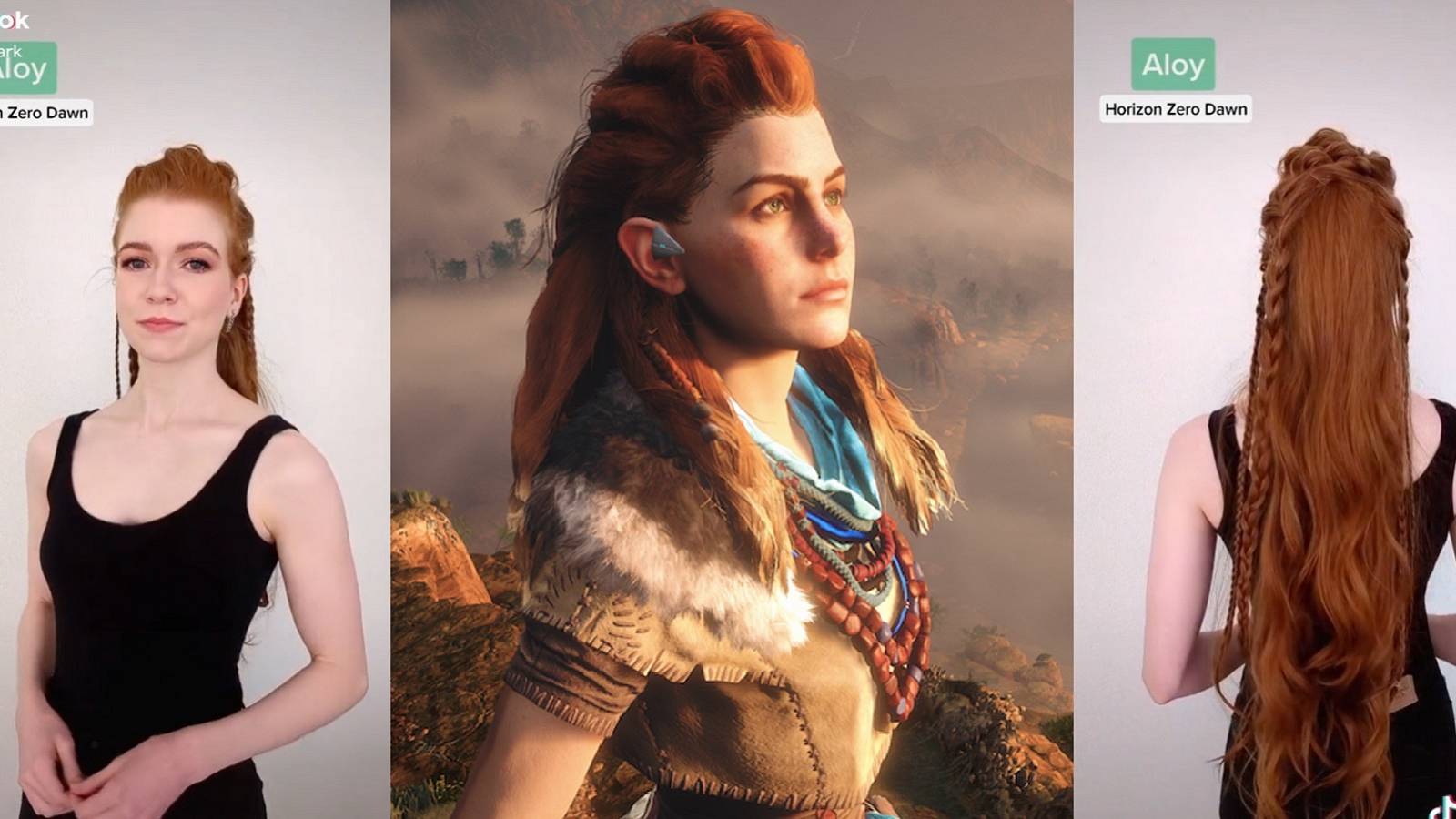 gingersnark horizon zero dawn aloy
