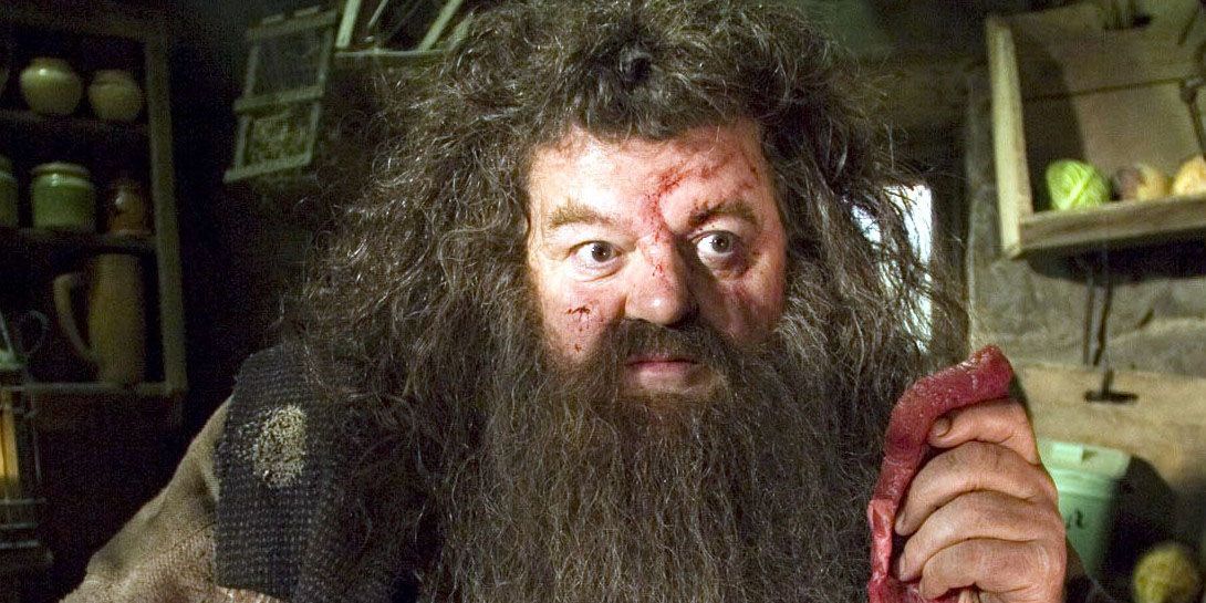 harry-potter-hagrid-beat-up