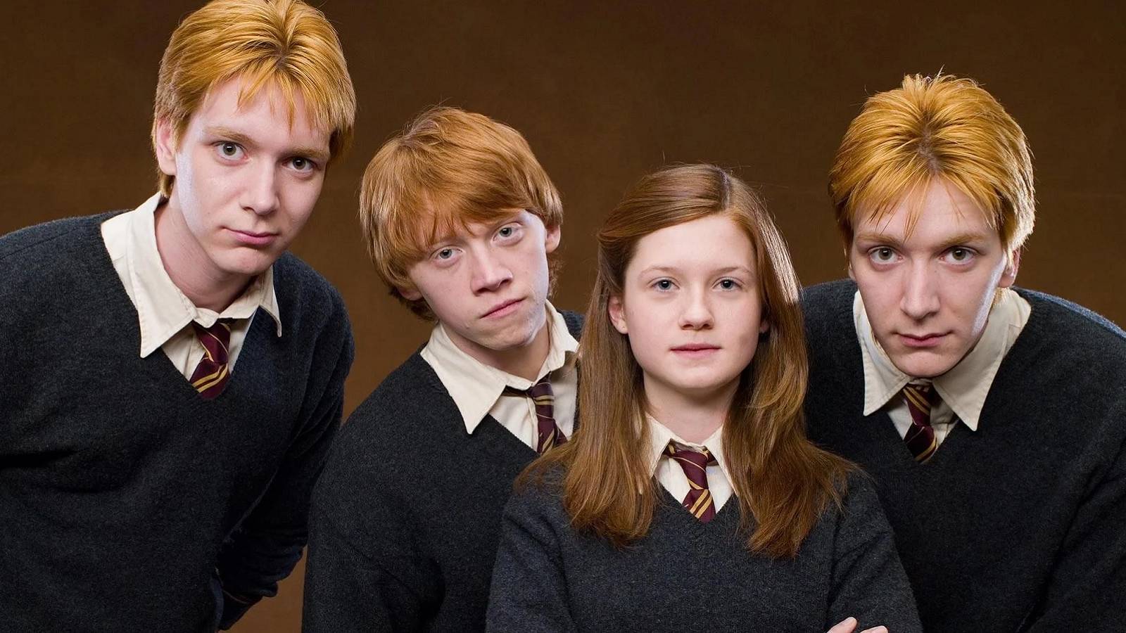 harry potter weasley family