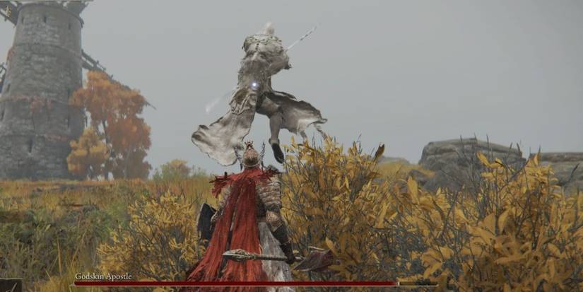 Player fighting Godskin Apostle in Elden Ring.