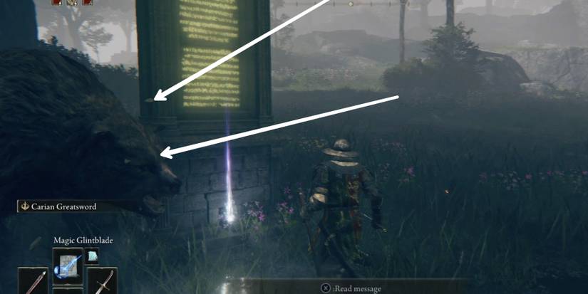 huge monster guarding limgrave map fragment in elden ring