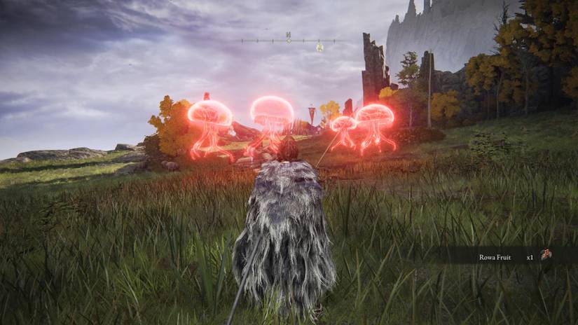 jellyfish shield location elden ring 