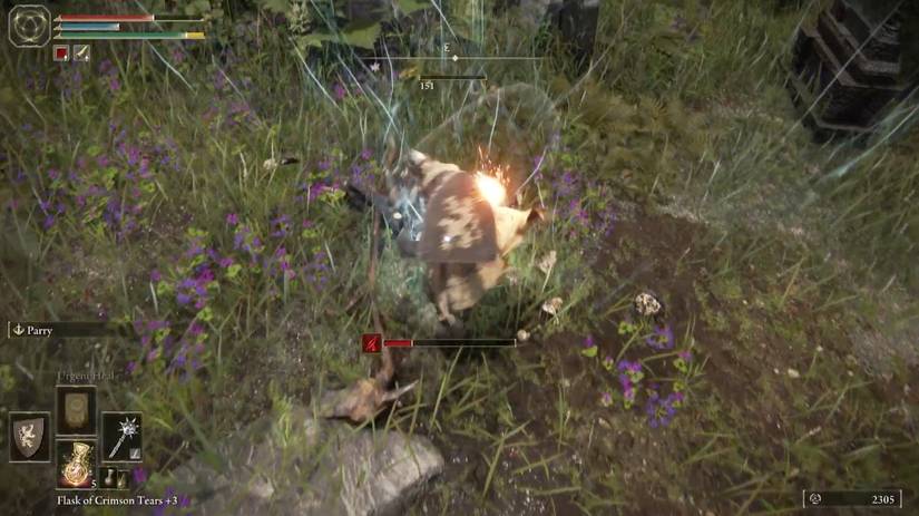 killing skeletons elden ring