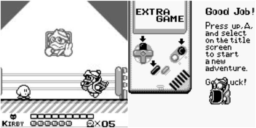 kirby's dream land king dedede