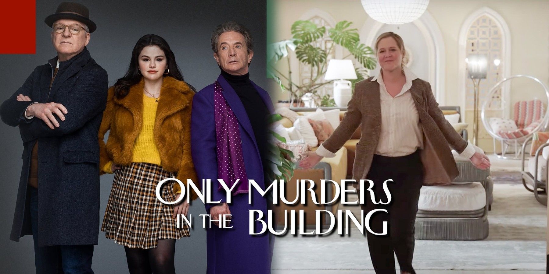 Only Murders in the Building Amy Schumer Hulu