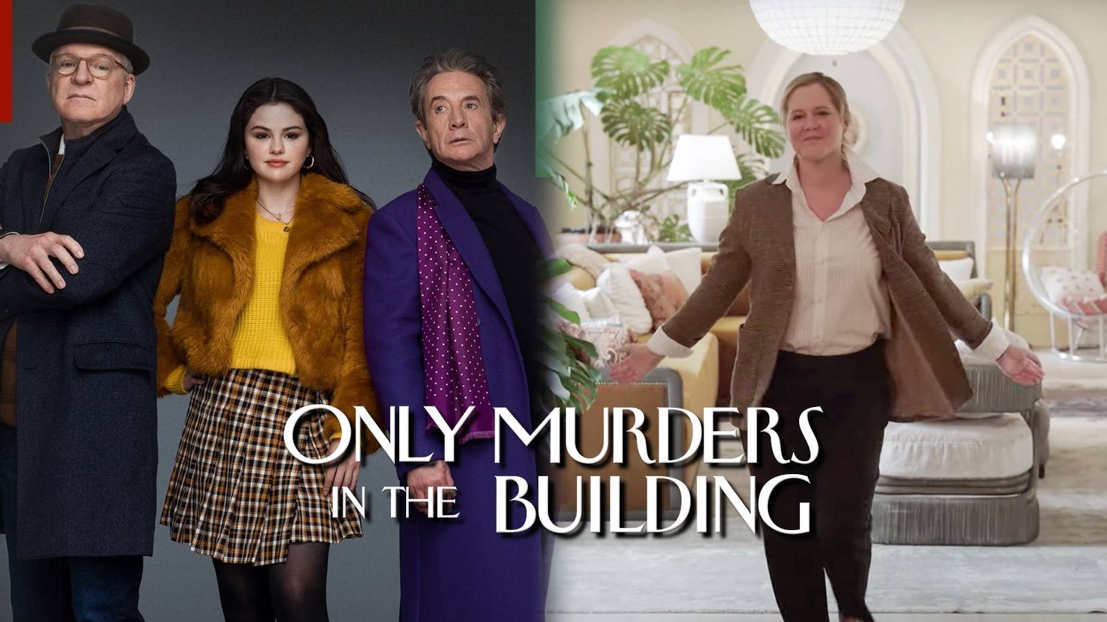 Only Murders in the Building Amy Schumer Hulu