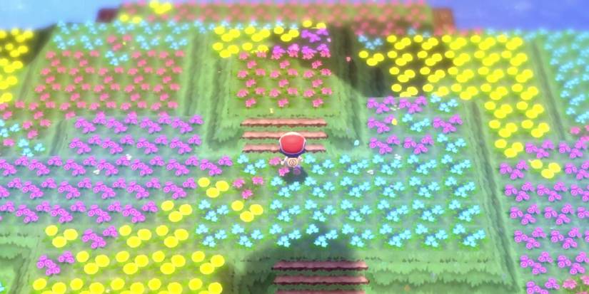 pokemon-brilliant-diamond-shining-pearl-how-to-catch-shaymin-05-shaymin-can-only-be-caught-once