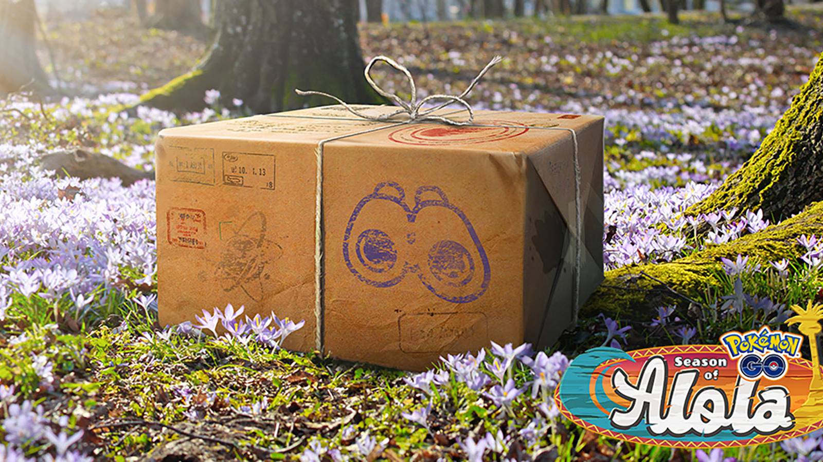 Pokemon GO Research Breakthrough box for the Alola season