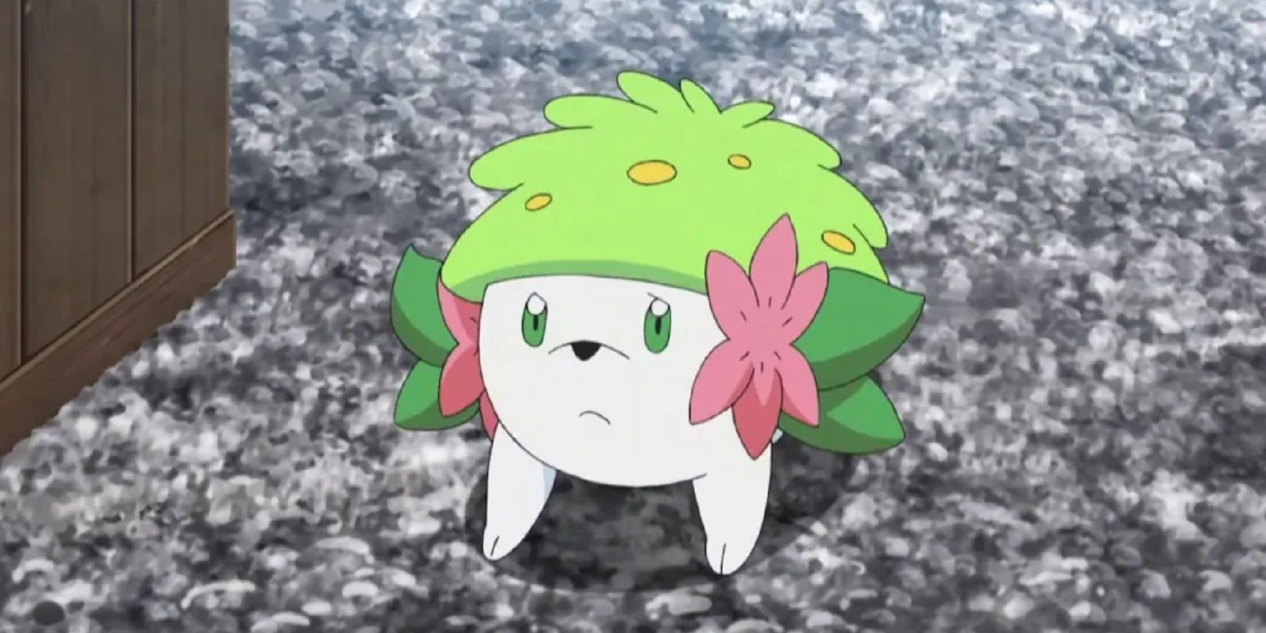 pokemon shaymin sad on road.