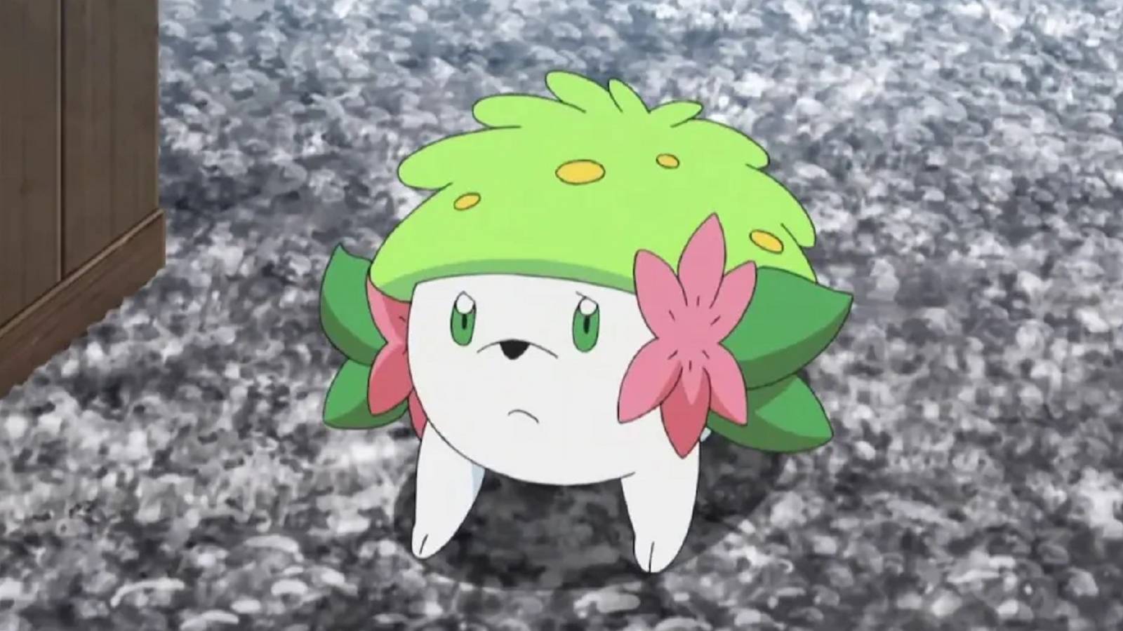 pokemon shaymin sad on road.