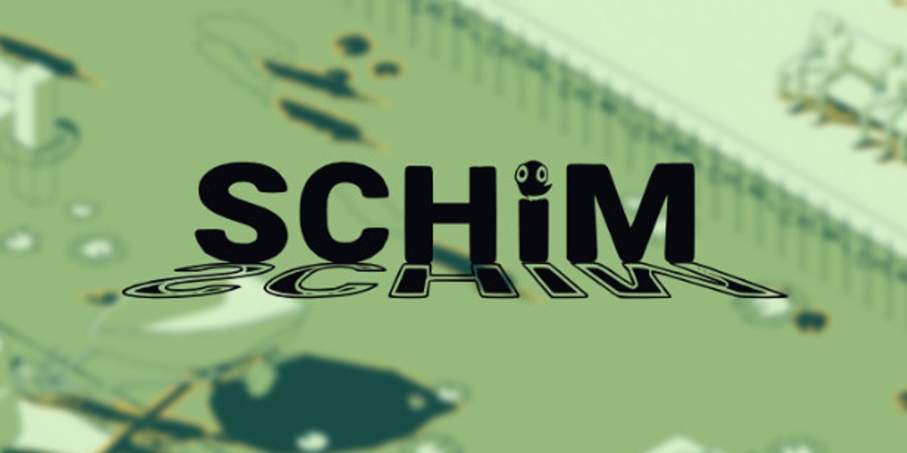 The logo for SCHiM on a green background