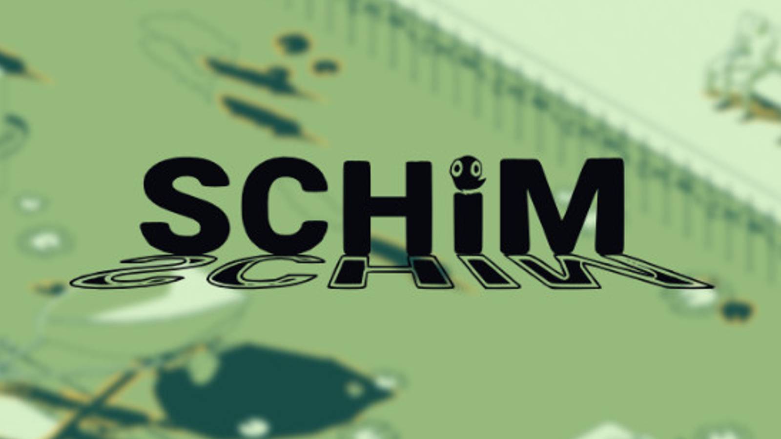 The logo for SCHiM on a green background