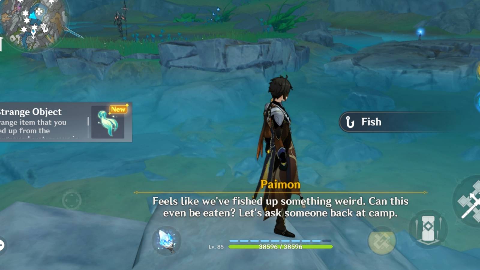 strange Object in Genshin impact