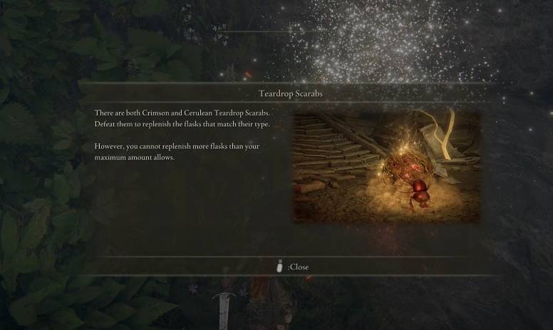 teardrop scarabs elden ring