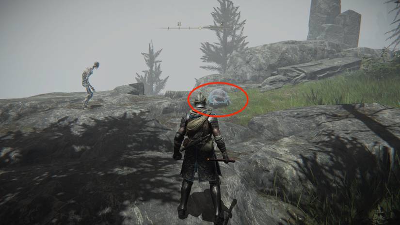 testus rise elden ring turtle 1