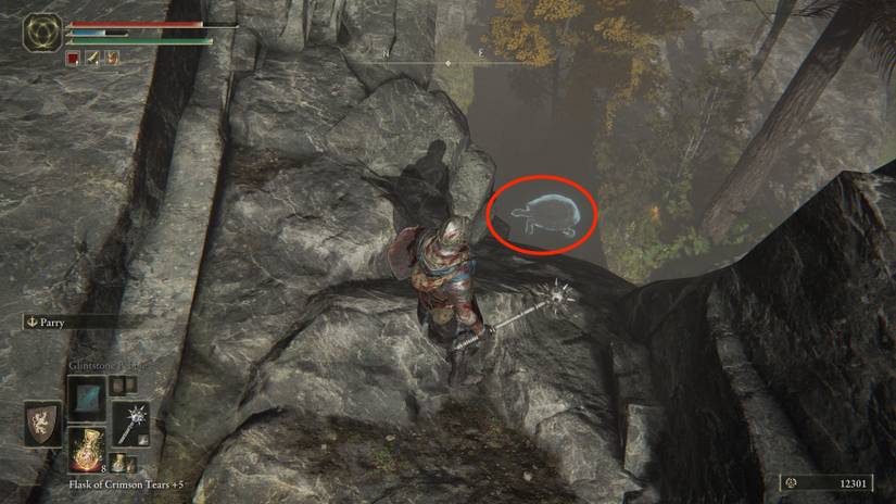 testus rise elden ring turtle 3