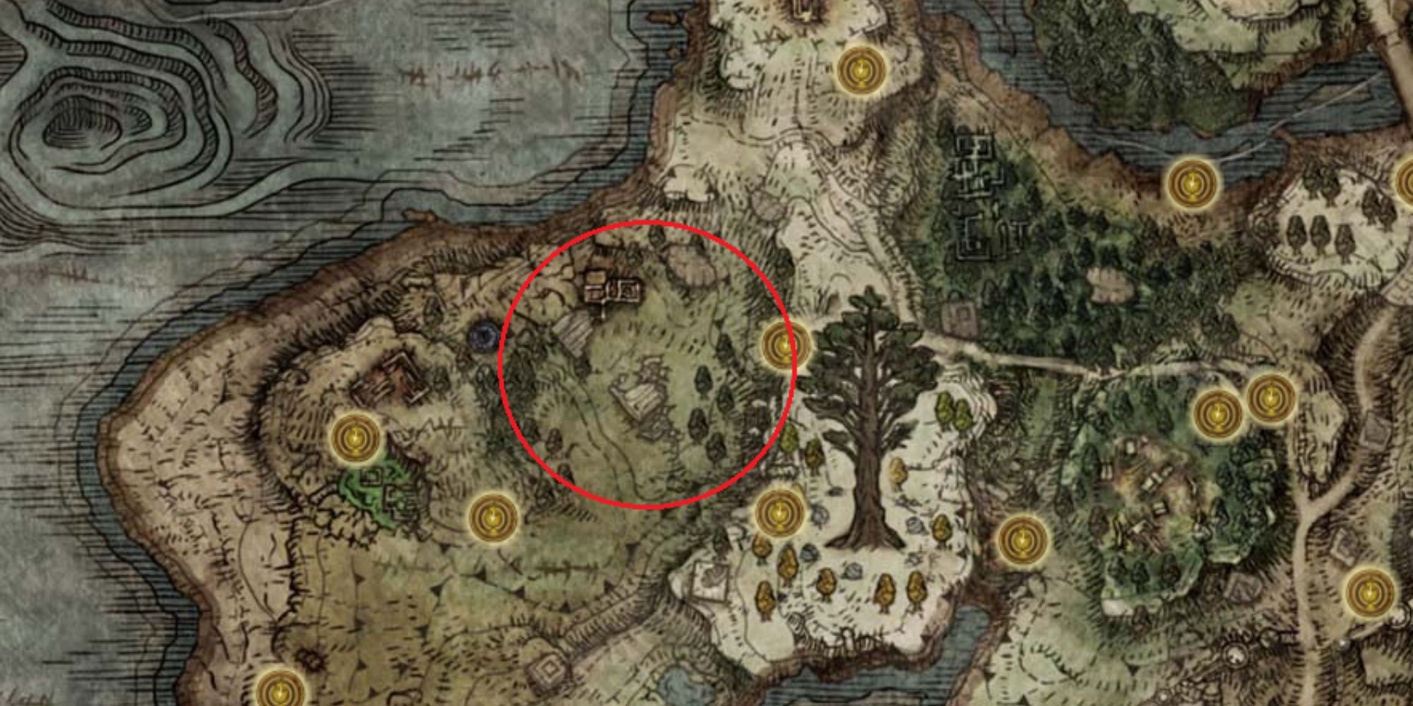 Elden Ring Best Places To Farm Runes In Limgrave