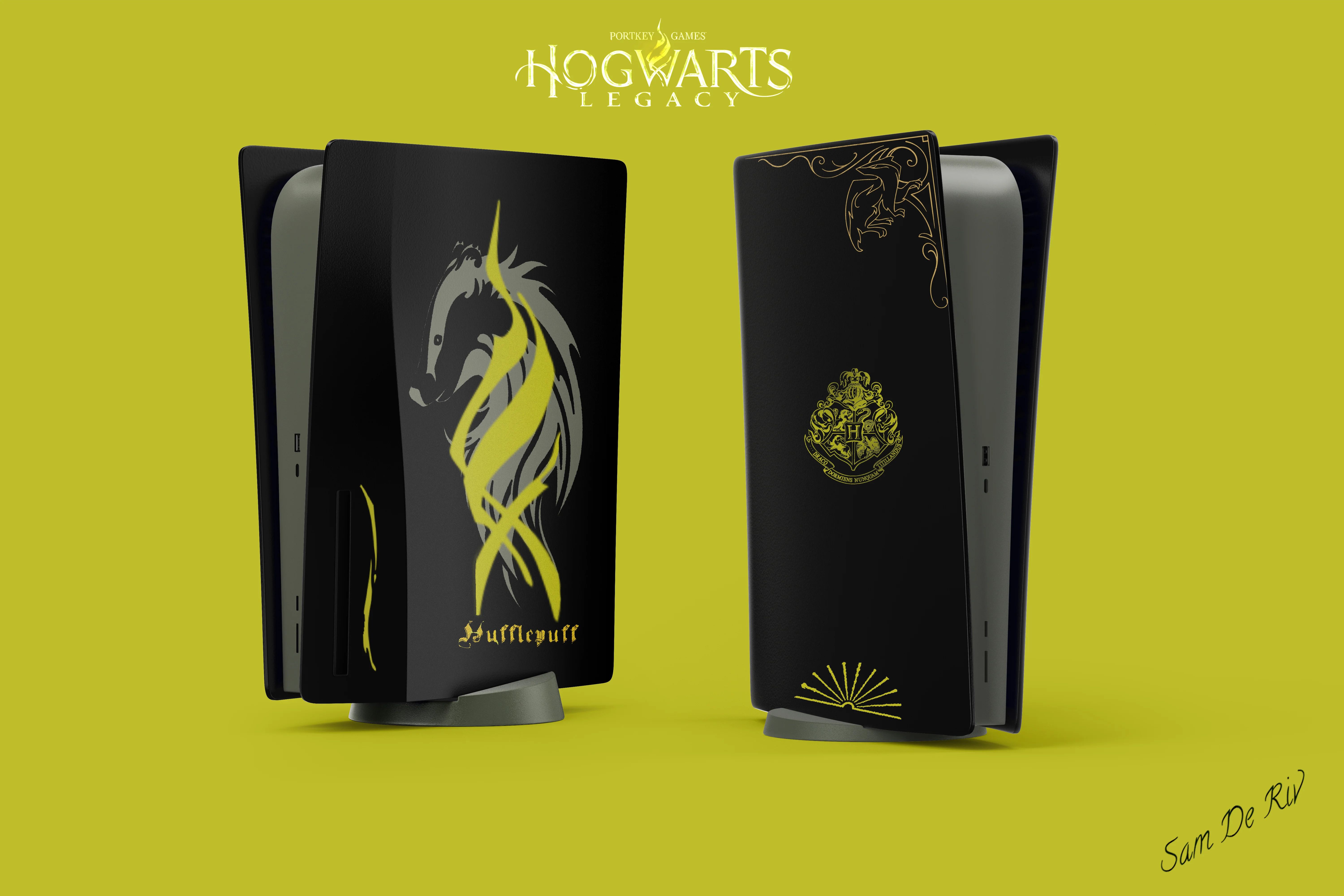 Hogwarts Legacy PS5 Skin