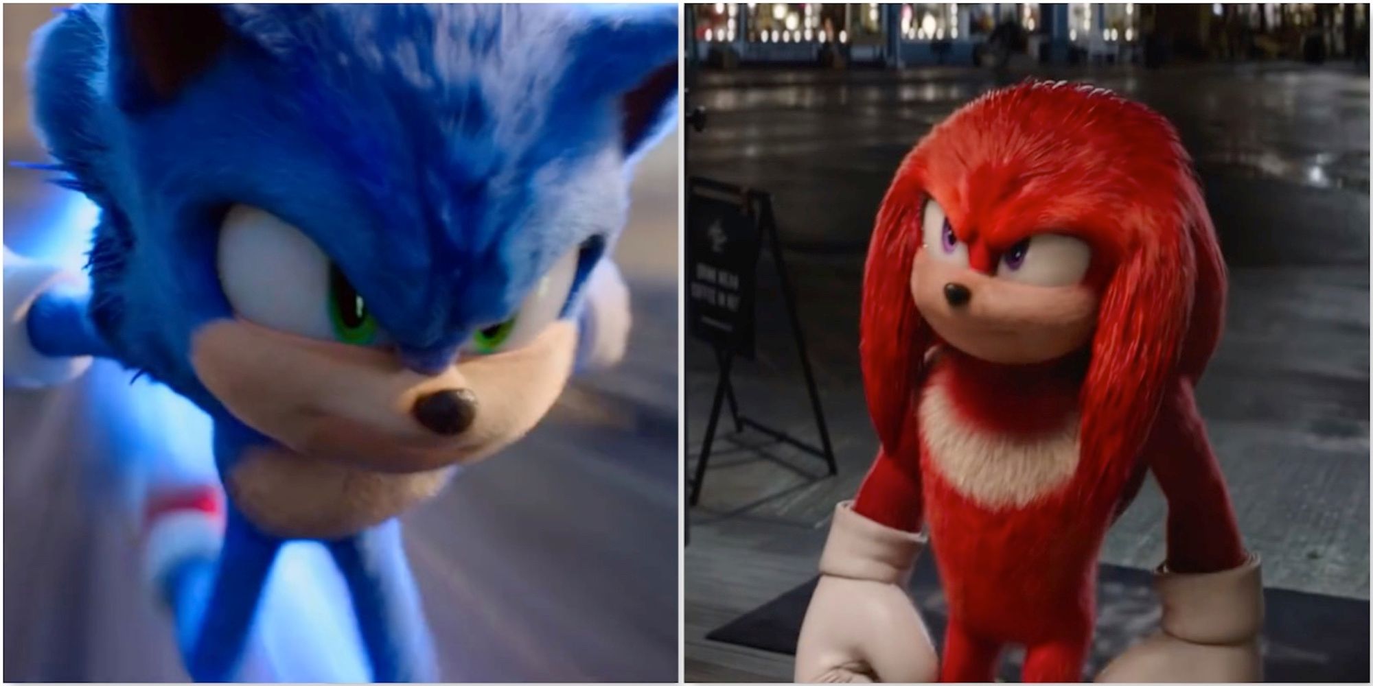 Sonic and Knuckles in Sonic the Hedgehog 2