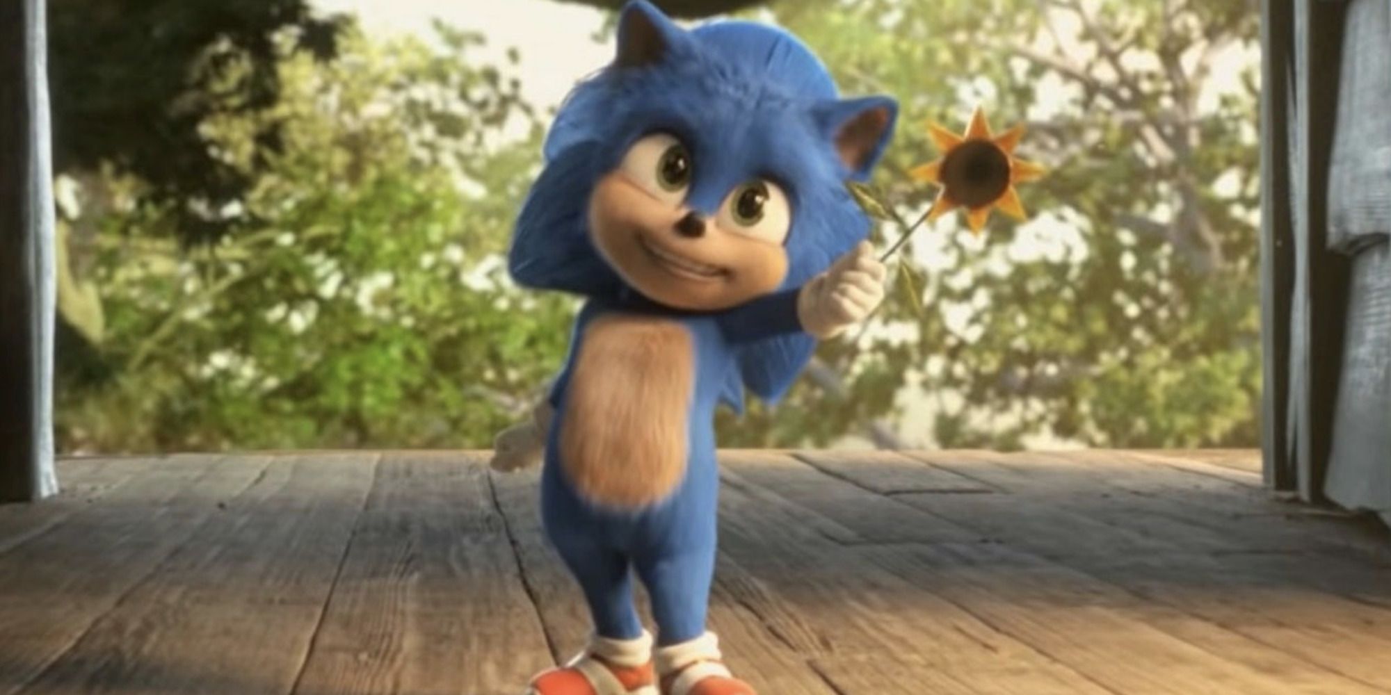 Baby Sonic from Sonic the Hedgehog