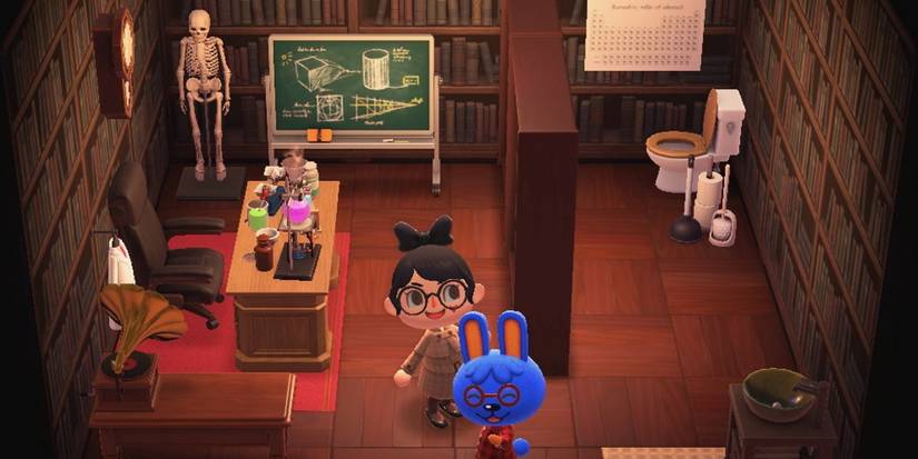 ACNH Doc House Animal Crossing: New Horizons