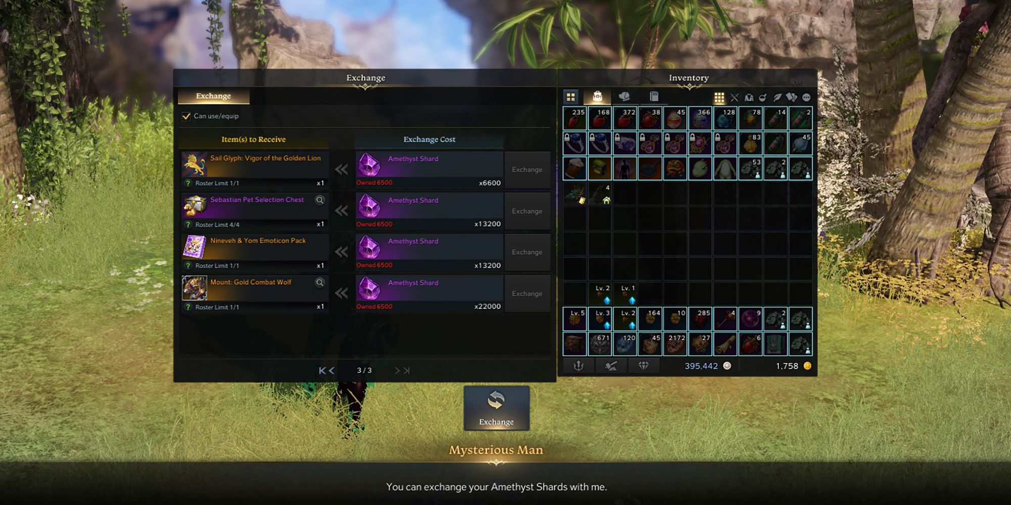 Lost Ark - Example Of What The Amethyst Shard Shop Looks Like