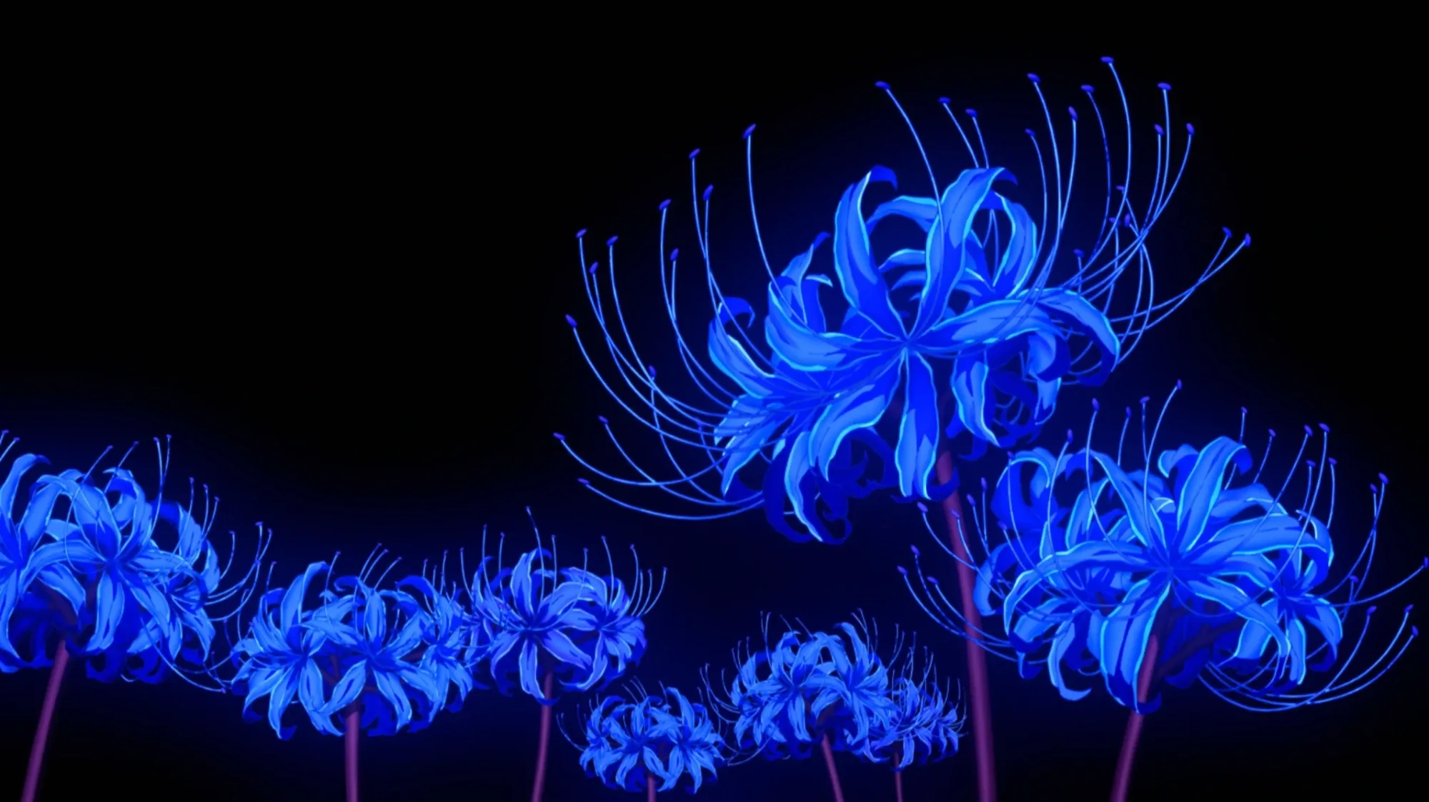 Голубая Паучья Лилия цветок