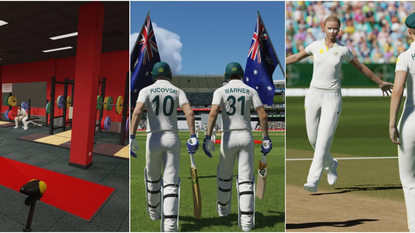 Cricket 22 - A joined image of 3 screenshots