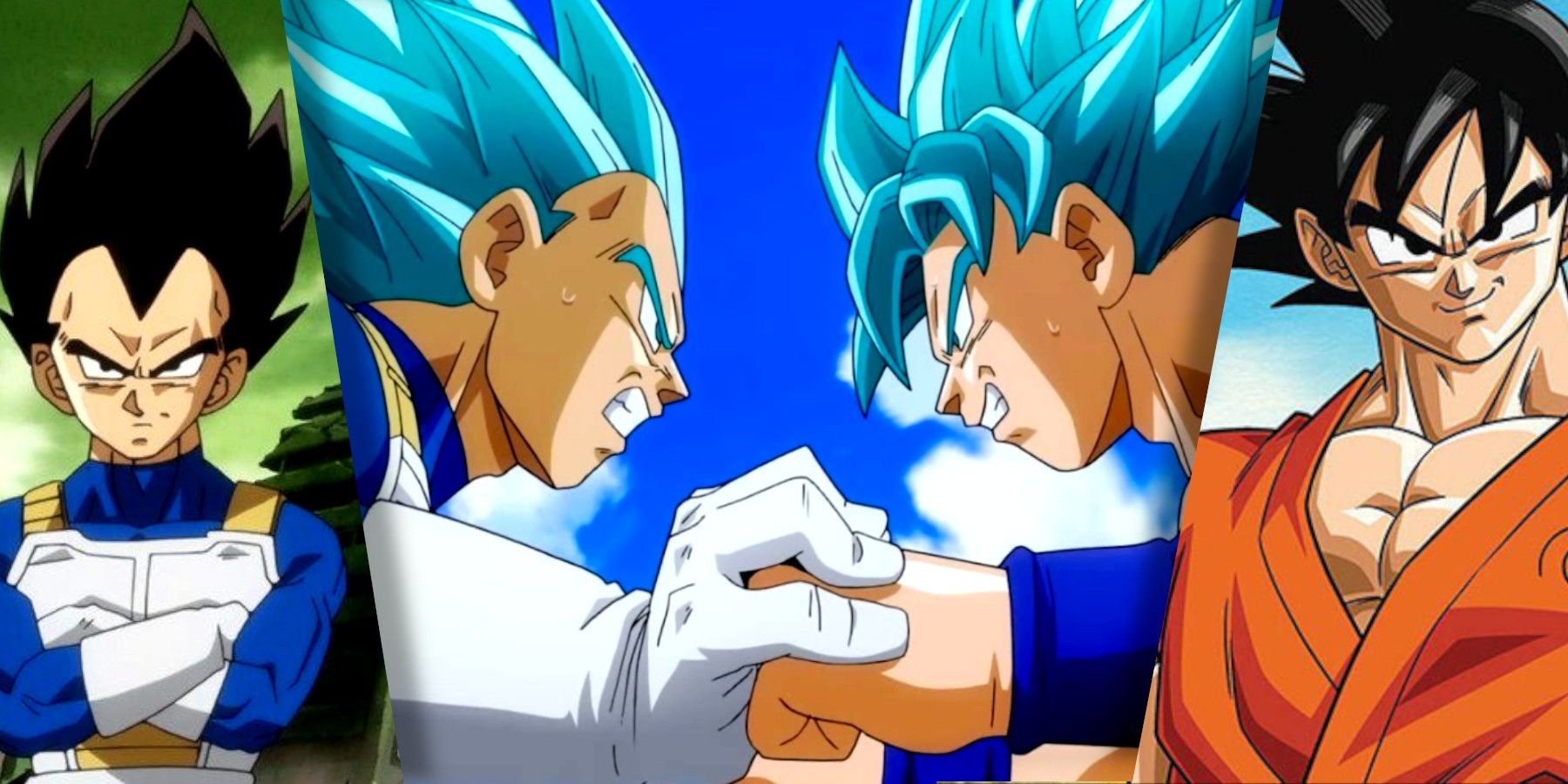 Dragon Ball Dads Vegeta and Goku