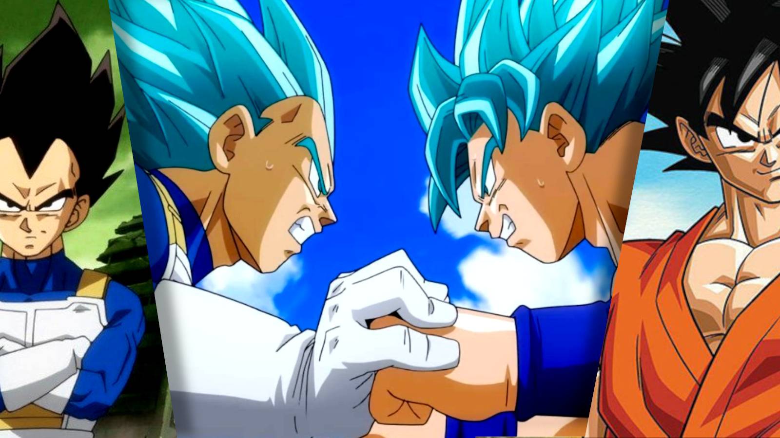 Dragon Ball Dads Vegeta and Goku