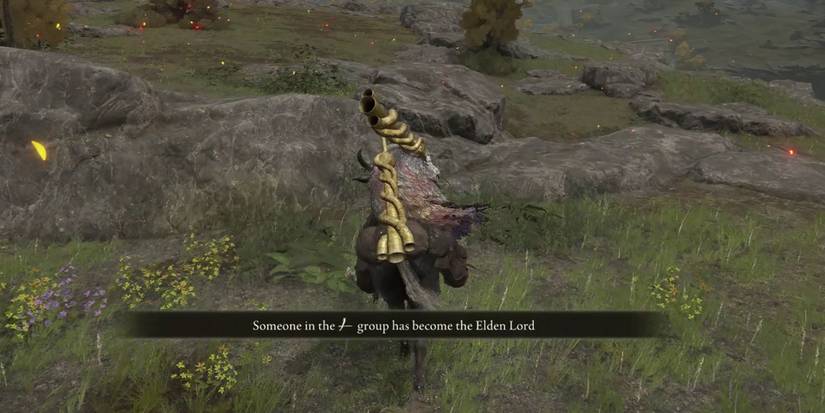 Elden Ring - Notification For Someone In Group Password Group Becoming Elden Lord And Granting Rune Buff