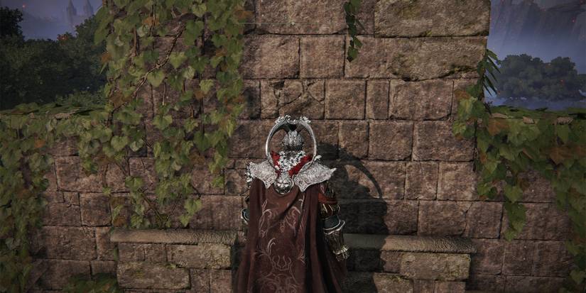 Elden Ring AFK Rune Farm Standing In Spot