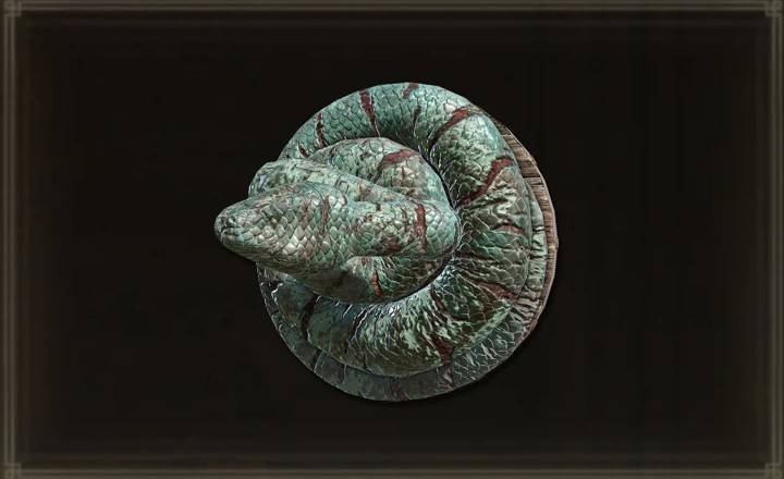 Elden Ring Coil Shield