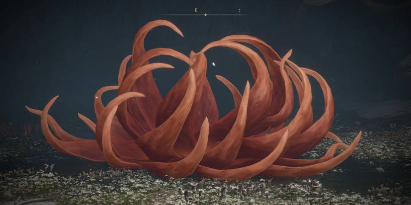 Elden Ring Frenzied Flame Guide Malenia Haligtree Lotus Miquellas Needle