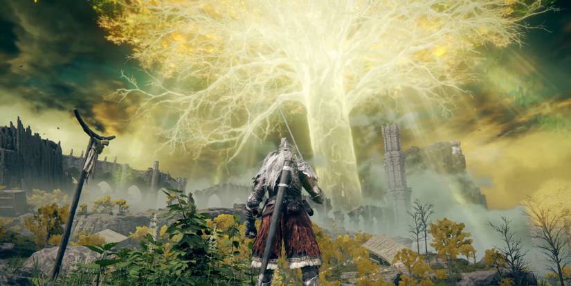 An Erdtree in Limgrave in Elden Ring