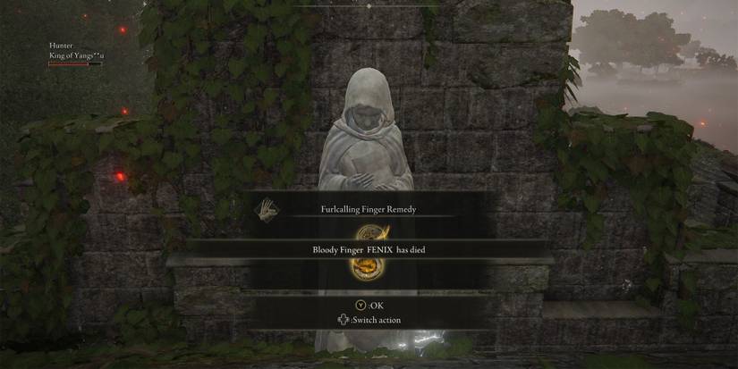 Elden Ring Mimic Working As Intended