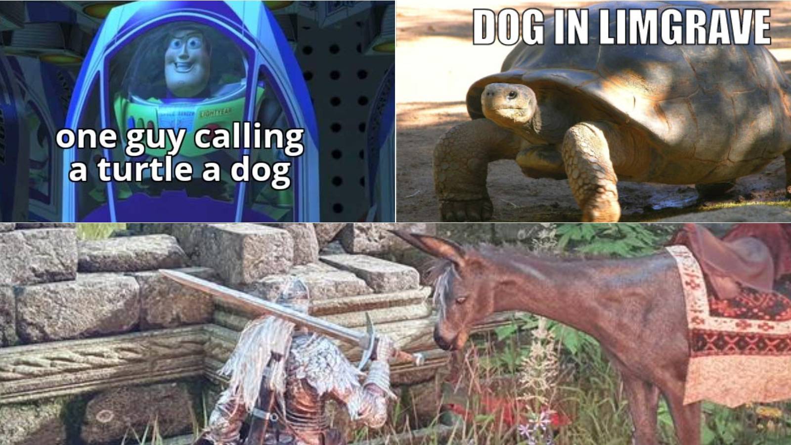 EldenRingDogMemesHeader