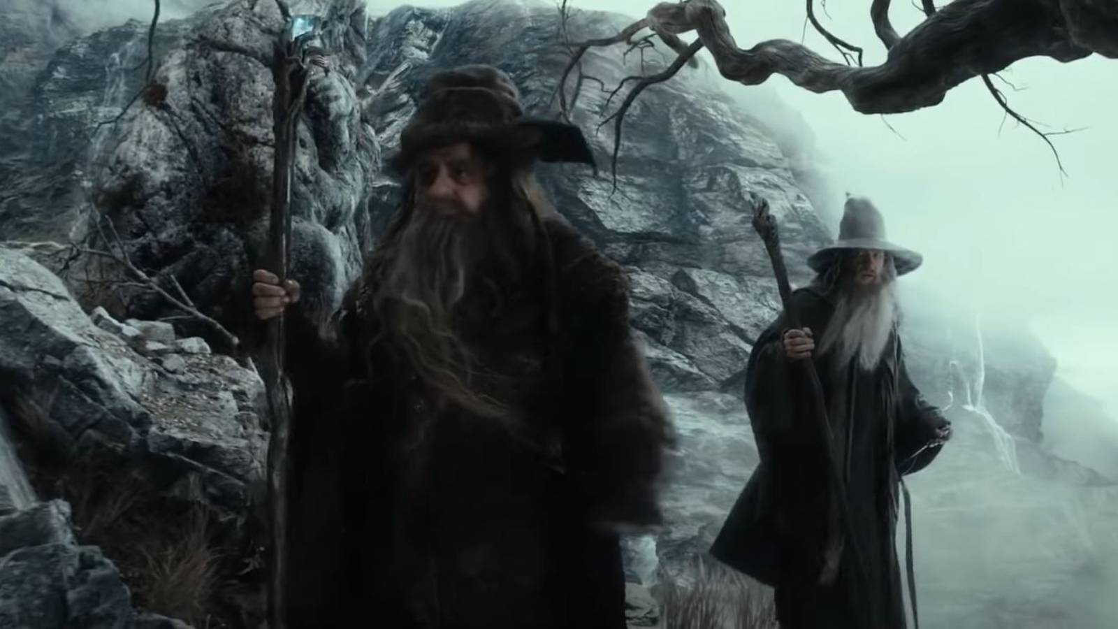 Gandalf and Radagast