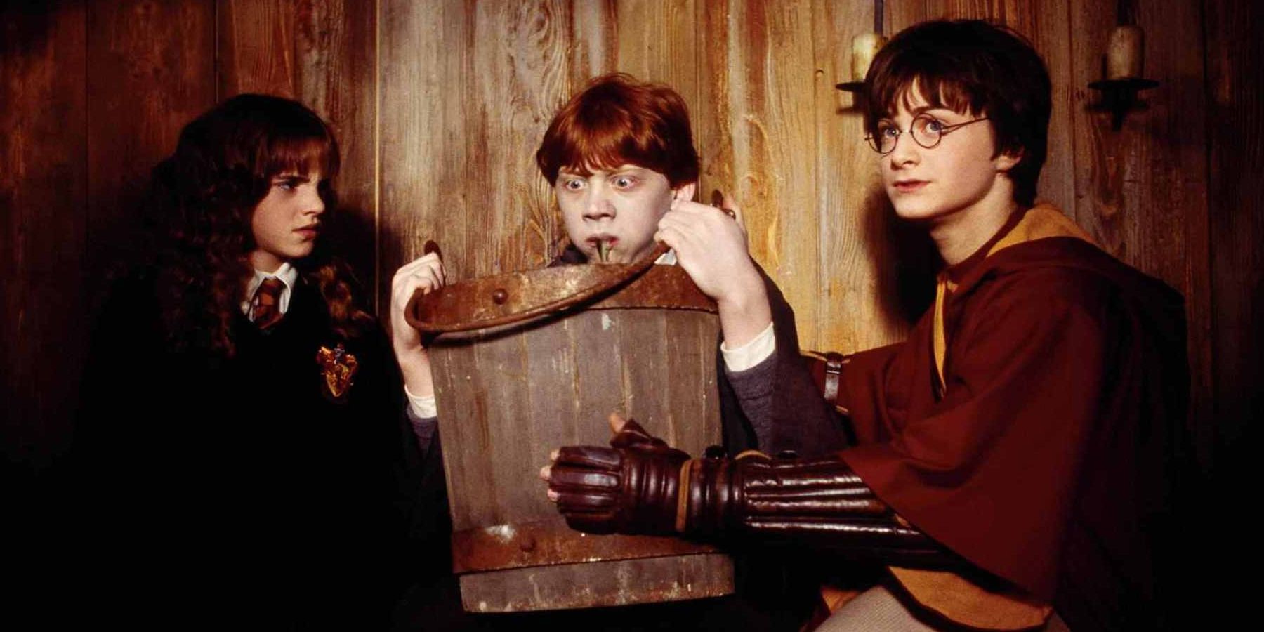 Harry Potter And The Chamber Of Secrets harry, hermione, and ron