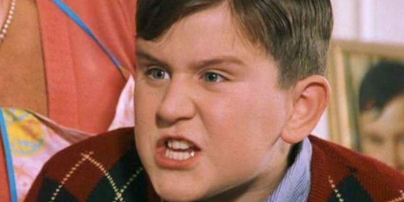 Harry Potter Dudley Dursley