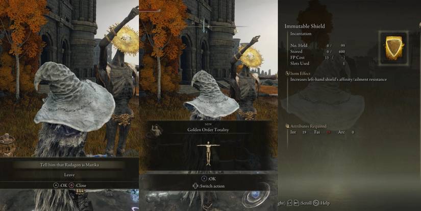 Immutable Shield incantation in elden ring