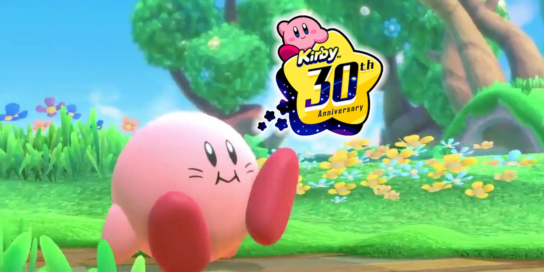 Curiosità] Un peluche gigante di Kirby per festeggiare i 30 anni della  serie - MyNintendoLife