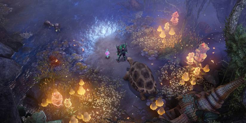 Lost Ark - Talking To The Turtle Dad On Turtle Island