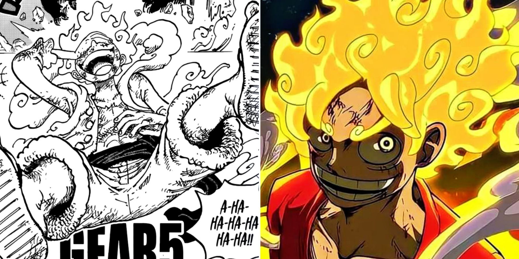 Does Luffy have the Hito Hito no Mi? - Quora